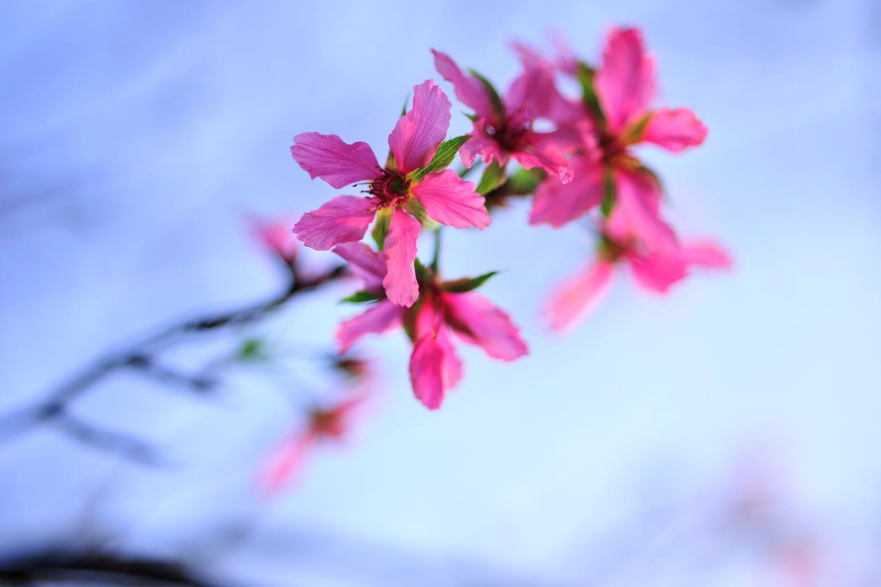Flower Free花自在 Zhoulan 외부 사진